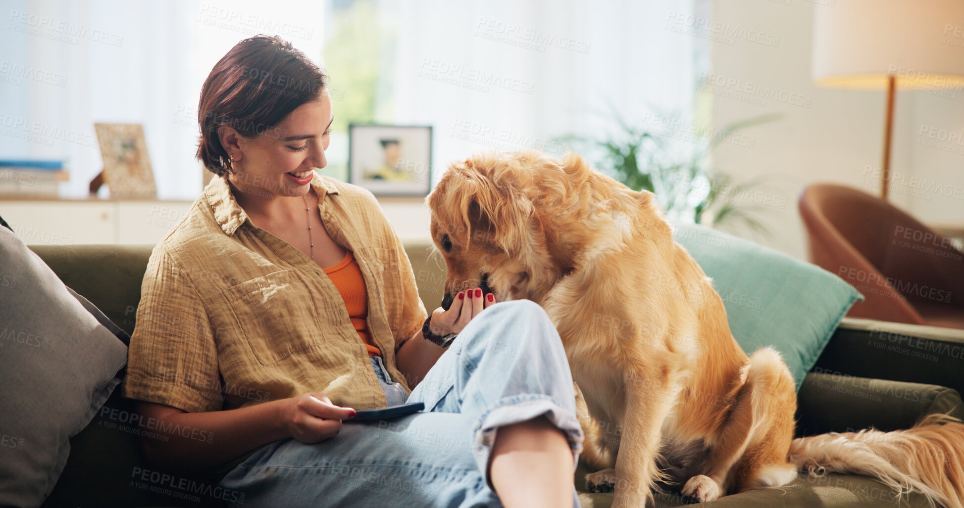 Buy stock photo Home, treat and woman with dog on sofa for bonding, relax and chill together in living room. Best friend, pet and person with Golden Retriever on couch for animal care, love and fun on weekend