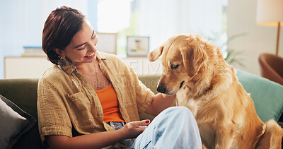 Buy stock photo Woman, golden retriever and play on couch in home, smile and bonding in morning for love in living room. Excited girl, dog mom and pet animal with support, happy and loyalty with touch at apartment