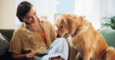 Buy stock photo Dog, woman and phone with play on sofa in home, relax and care with bonding, happy and trust in lounge. Person, pet and golden retriever with smartphone, training and loyalty with love at apartment