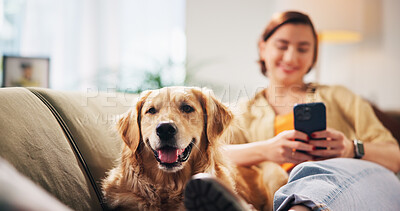 Buy stock photo Happy, relax and woman with dog on sofa for bonding, love and chill together in living room. Home, pet and person with Golden Retriever on smartphone for chat, social media and internet on weekend