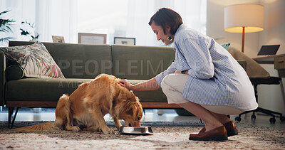 Buy stock photo Food, eating and dog with woman in living room for pet kibble, bonding and loyalty. Trust, animal adoption and nutrition with person and golden retriever at home for support, domestic and hunger