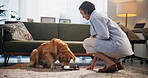 Food, love and dog with woman in living room for pet kibble, bonding and loyalty. Eating, animal adoption and nutrition with person and golden retriever at home for support, domestic and hunger