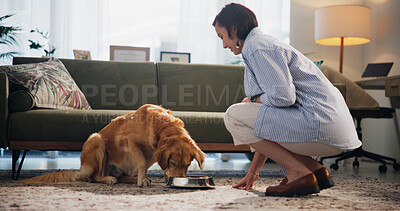 Buy stock photo Food, love and dog with woman in living room for pet kibble, bonding and loyalty. Eating, animal adoption and nutrition with person and golden retriever at home for support, domestic and hunger