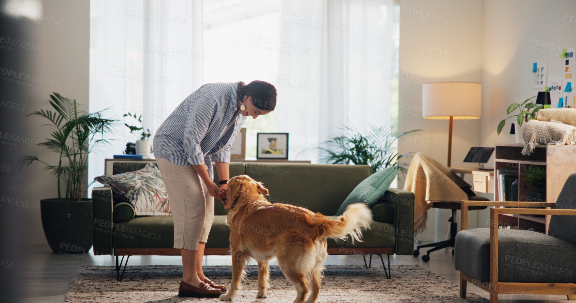 Buy stock photo Love, care and dog with woman living room for petting, bonding and loyalty. Trust, animal adoption and relax with female person and golden retriever at home for support, domestic and happiness