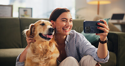 Buy stock photo Selfie, happy and woman with dog in home for relaxing, social media and playing together. Best friend, pet animal and happy owner with Golden Retriever smile for profile picture, memory and photo