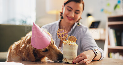 Buy stock photo Birthday cake, happy and woman with dog in home for celebration, surprise and party together. Animal, pet and person with Golden Retriever with dessert or treats for adoption, anniversary and bonding