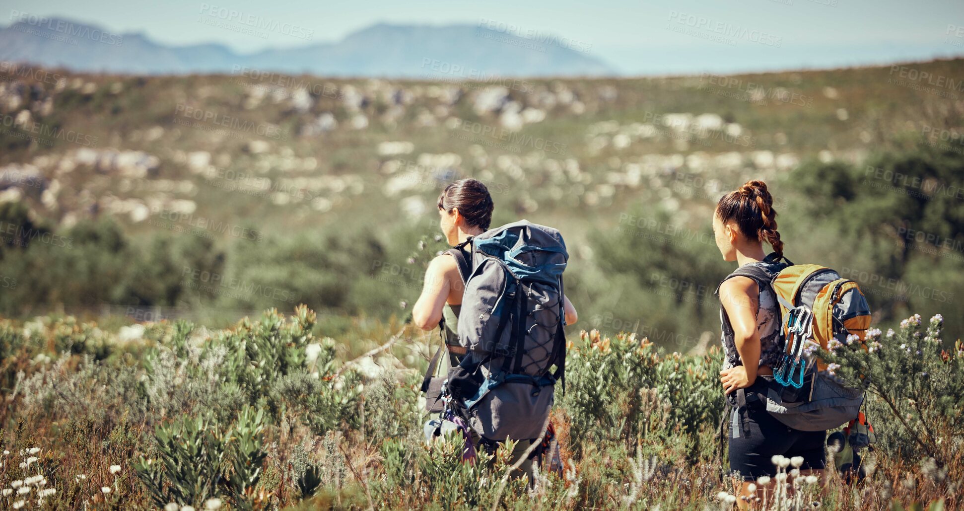 Buy stock photo Workout friends or women hiking, fitness or exercise with walking in nature on mountain dust path. Health, training or sports girl in nature environment with freedom, trees or travel outdoor trekking