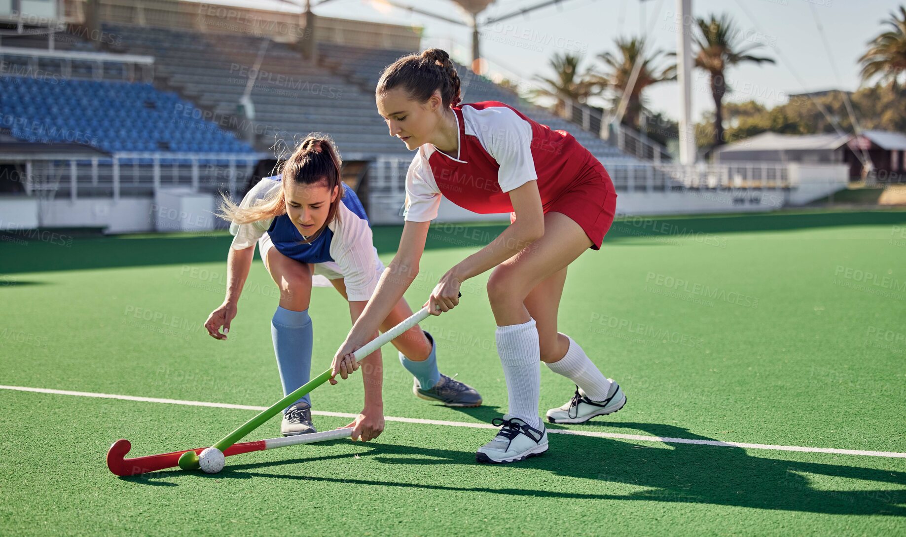 Buy stock photo Sports fitness, field hockey game and women challenge for ball in stadium competition, club rival match or tournament contest. Training exercise, workout and athlete battle action on arena turf pitch