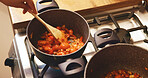 Hands, pot and cooking chicken in home, stove and heat for soup, ingredients and nutrition in kitchen. Person, chef and meal prep with food, diet and above with stirring, recipe and meat at house