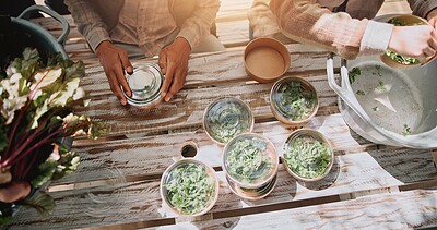 Buy stock photo Agriculture, hands and packaging produce in container for fresh harvest, organic market and supply chain. Sustainable business, people and teamwork for food distribution, packing inventory and above