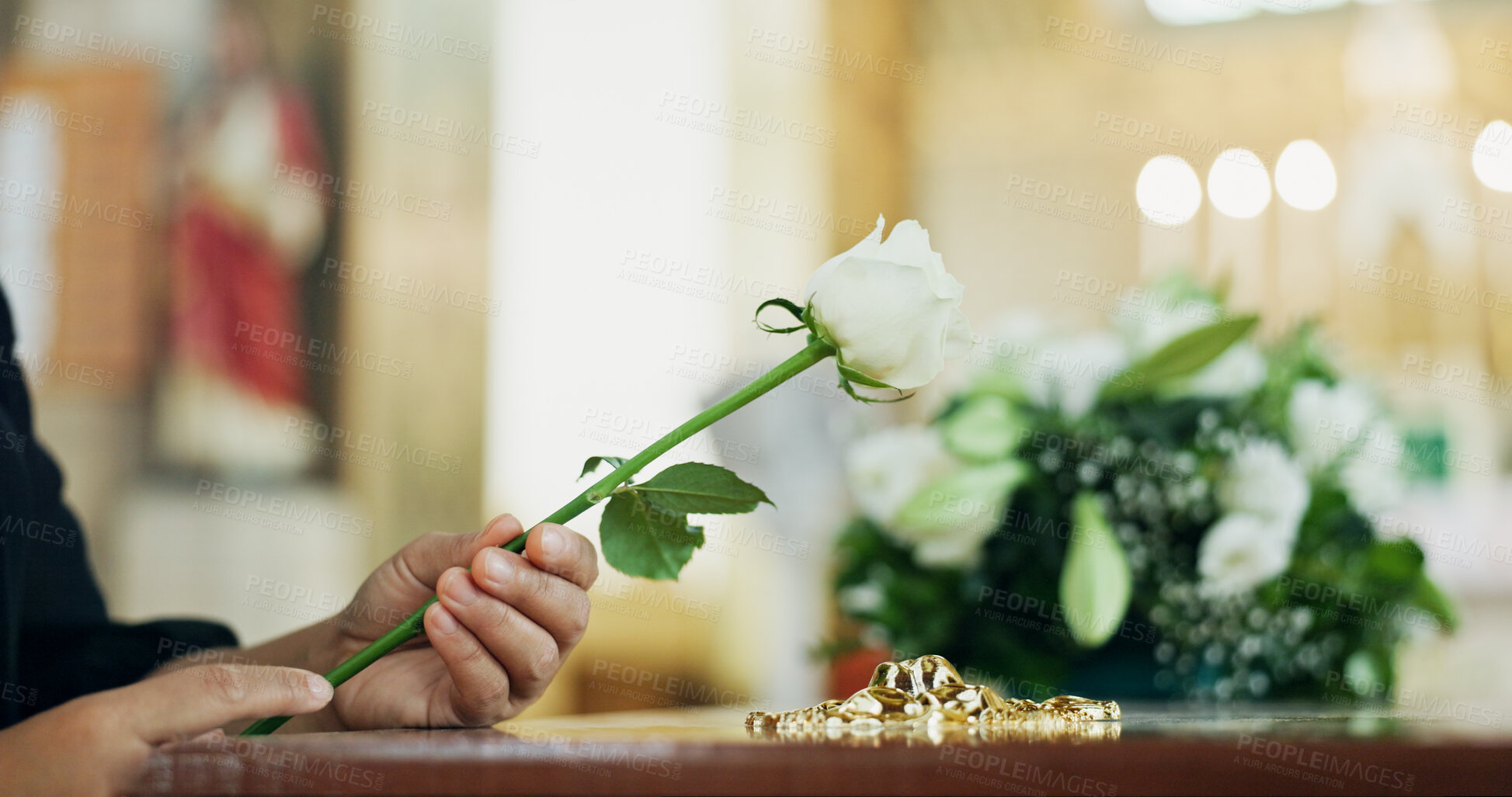 Buy stock photo Funeral, hand or person with flower or loss in church for farewell service, mourning death or grief. Coffin, goodbye or grieving with sorrow or rose in cathedral for burial, ceremony and memorial