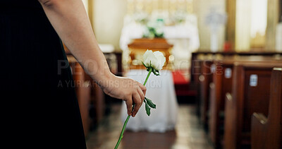 Buy stock photo Funeral, hand or person with flower in church for farewell service, mourning death and respect. Ceremony, goodbye or grieving with sorrow, honor or rose in cathedral for burial, loss and memorial