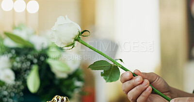 Buy stock photo Funeral, hand or person with flower with respect in church for farewell service, mourning death or grief. Ceremony, goodbye or grieving with sorrow or rose in cathedral for burial, loss or memorial