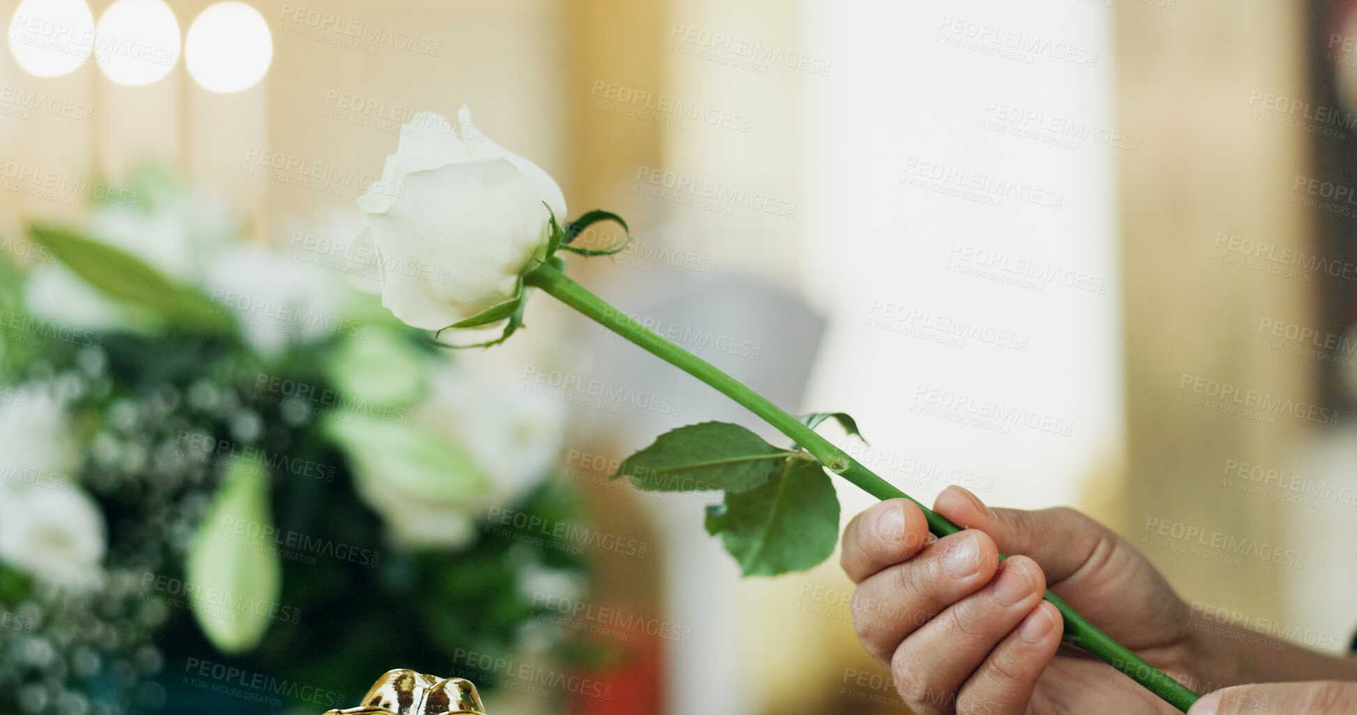 Buy stock photo Funeral, hand or person with flower with respect in church for farewell service, mourning death or grief. Ceremony, goodbye or grieving with sorrow or rose in cathedral for burial, loss or memorial