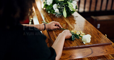 Buy stock photo Hands, woman and rose at funeral for farewell, mourning death and goodbye at burial ceremony. Sad, female person and rip with flowers for casket respect, memorial service and emotional for loss