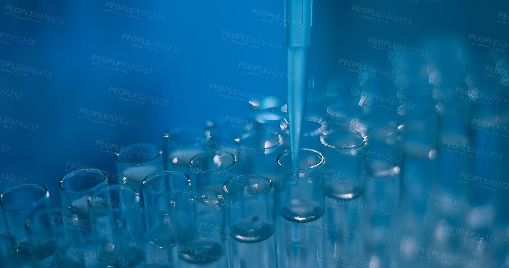 Buy stock photo Science, chemical and research with test tubes in laboratory for drug screening, enzyme analysis or healthcare pipette. Medical study, cell culture and formula with closeup of vials for dna sample