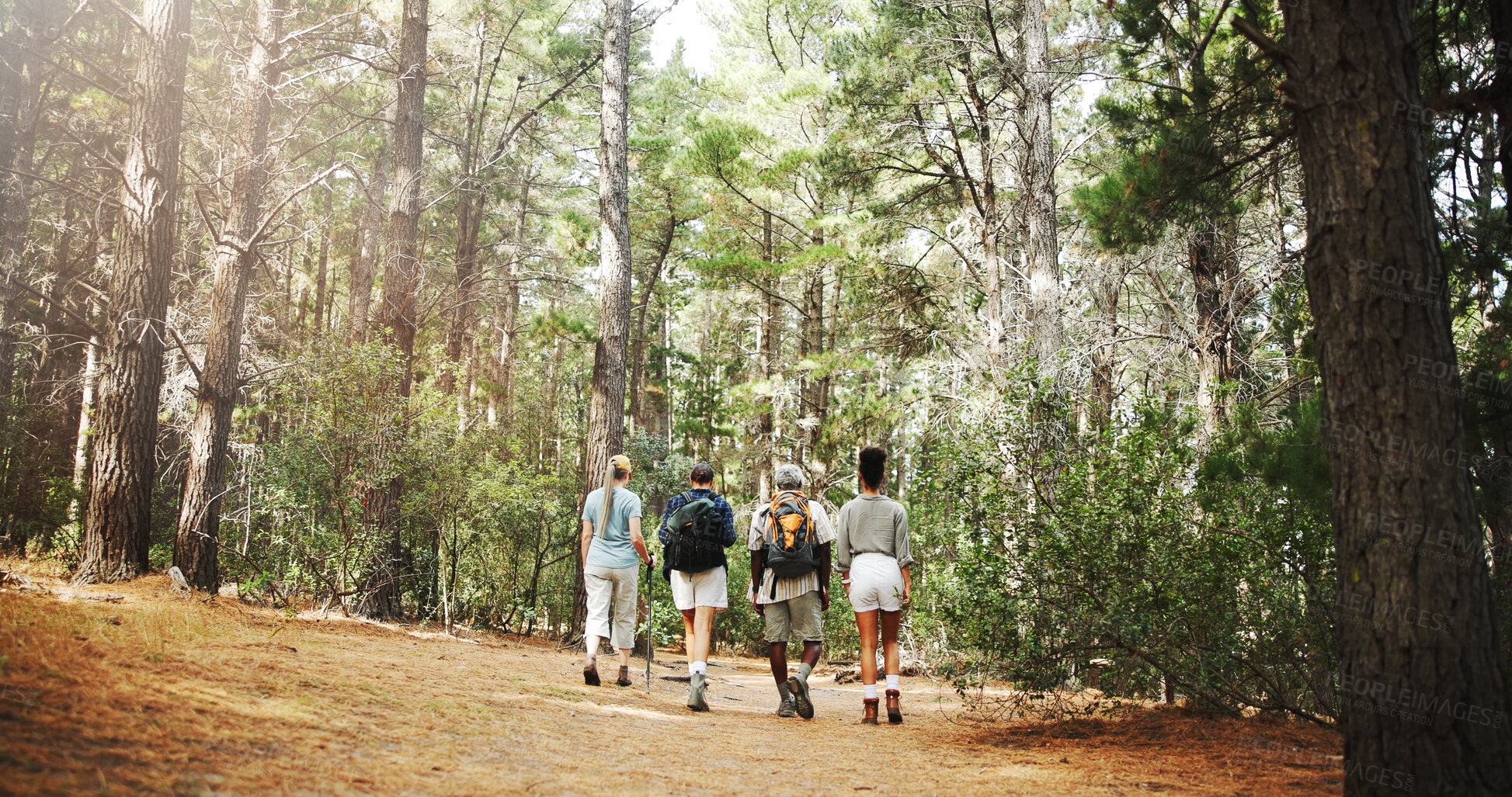 Buy stock photo Fitness, back and people in nature for hiking, explore environment or journey on trail. Trekking group, guide and walking in forest for exercise, adventure route or outdoor for wellness activity