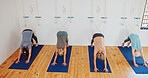 Group, elderly and people stretching in yoga class for fitness, exercise and spiritual wellness. Senior women, warm up and downward dog pose for pilates, community and holistic balance at health club