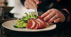 Hands, chef and meal for restaurant, healthy food and preparation for brunch in kitchen or cuisine. Catering business, employee and person with salad for lunch, cooking or skills for gourmet in diner
