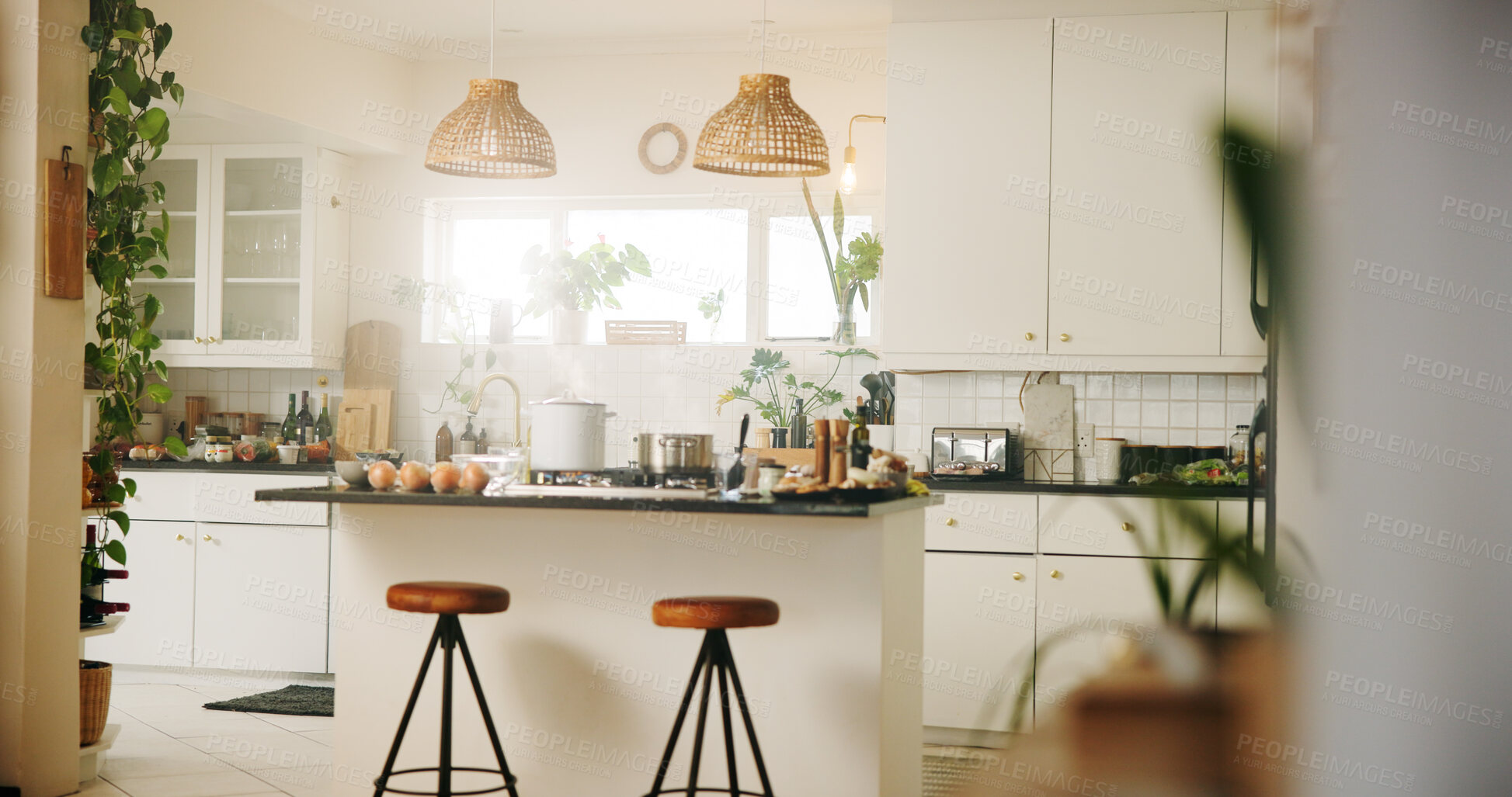 Buy stock photo Home, kitchen and style with plants for interior design, real estate and eco friendly with sunlight. House, furniture and decor in modern apartment for rental, architecture or equipment for meal prep