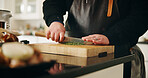 Person, hands or chef cutting in kitchen with herbs for meal prep, dinner or catering service at home. Closeup, culinary artist or chopping board with ingredients for hospitality, recipe or flavor