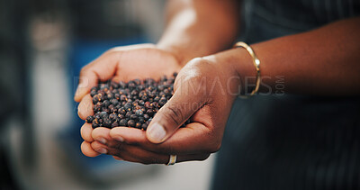Buy stock photo Hands, juniper berries and production with person in distillery for gin industry or manufacturing. Fermentation, flavor and process with employee closeup in brewery, factory or plant for distillation