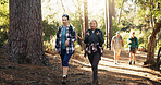 Mature, talking or friends on trail for hiking, outdoor adventure or journey in nature together. Travel, exercise and people in woods for holiday retirement, walking or trekking to explore terrain