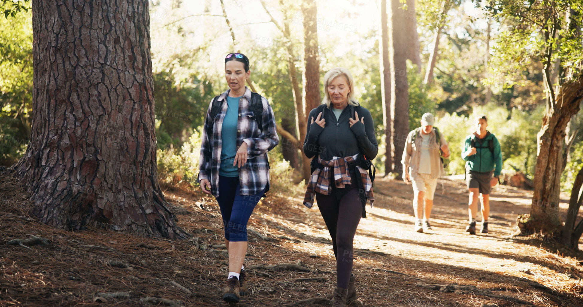 Buy stock photo Mature, talking or friends on trail for hiking, outdoor adventure or journey in nature together. Travel, exercise and people in woods for holiday retirement, walking or trekking to explore terrain