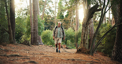 Buy stock photo Outdoor, walking and senior man on hike, journey and adventure in nature, traveller and retirement. Backpacking, travel and elderly person on holiday in woods, trekking and exploration of environment