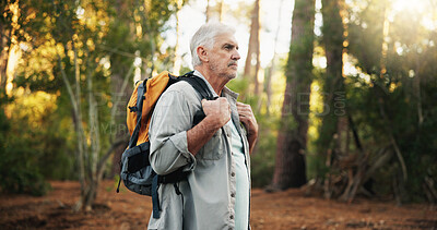 Buy stock photo Nature, backpacking and senior man hiking with travel, adventure or journey on vacation. Outdoor, fitness and elderly male person trekking in forest for discovery on holiday or weekend trip.