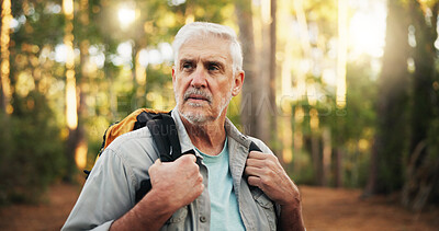 Buy stock photo Thinking, hiking and senior man in forest for travel, holiday or vacation on adventure. Thoughts, trekking or old person in woods for reflection, vision or sightseeing to explore nature in retirement