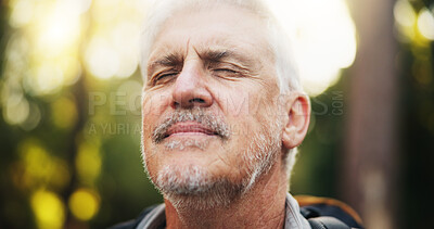 Buy stock photo Breathing, fresh air and senior man on hike, outdoor and oxygen in natural environment and traveller. Backpacking, calm and peace for elderly person in woods, smell or scent of countryside on holiday