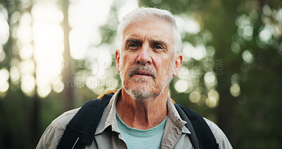 Buy stock photo Serious, hiking and senior man in forest, journey and adventure in nature, traveller or retirement. Backpacking, outdoor and elderly person on holiday in woods, trekking or exploration of environment