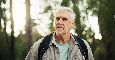 Buy stock photo Outdoor, hiking and senior man in forest, journey and adventure in nature, traveller and retirement. Backpacking, travel and elderly person on holiday in woods, trekking or exploration of environment