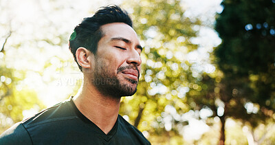 Buy stock photo Balance, meditation and yoga with man in park for holistic exercise or wellness routine. Awareness, breathing and inner peace with yogi person outdoor in nature for fitness, mindfulness or pilates