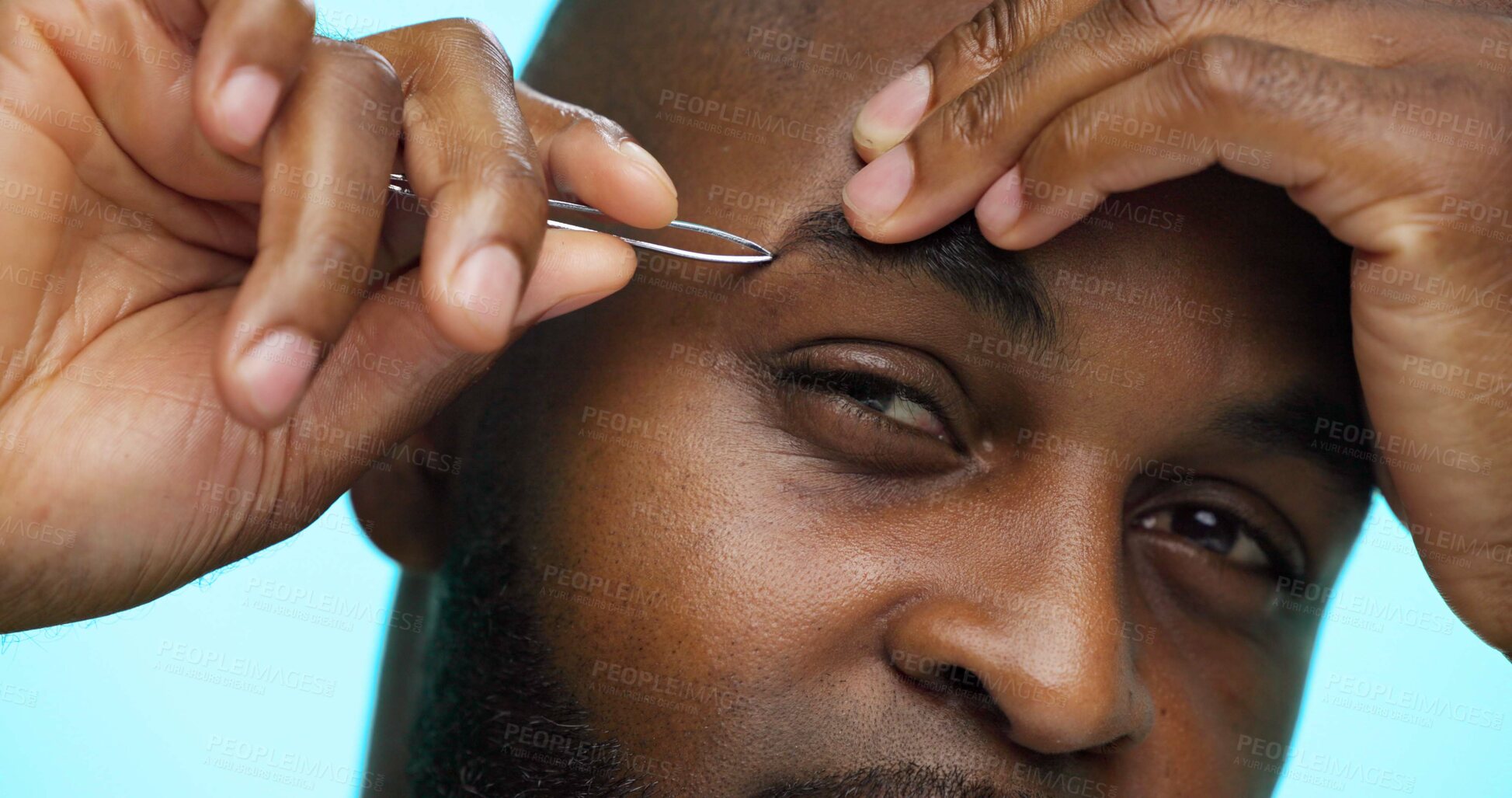 Buy stock photo Man, face and closeup with tweezers for grooming, hands with plucking or hair removal on blue background. Portrait, hygiene and African male for treatment, tool and eyebrow maintenance in studio