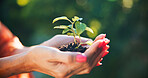 Hands, growth and woman with soil, plant and agriculture with offer, nature and earth day. Closeup, outdoor and person with seedling, sustainability and eco friendly with environment or green fingers