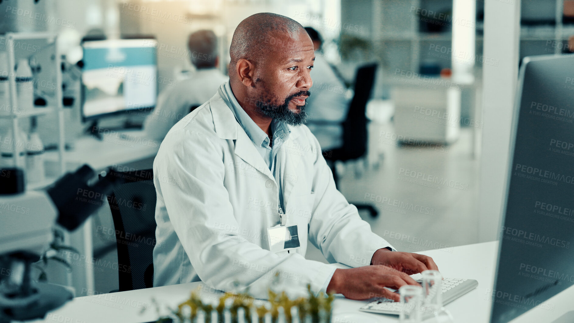 Buy stock photo Science, lab and man on computer with plant sample for medical research, vaccine report and medicine. Healthcare, pharmaceutical and scientist on PC for study, medicinal analysis and digital results