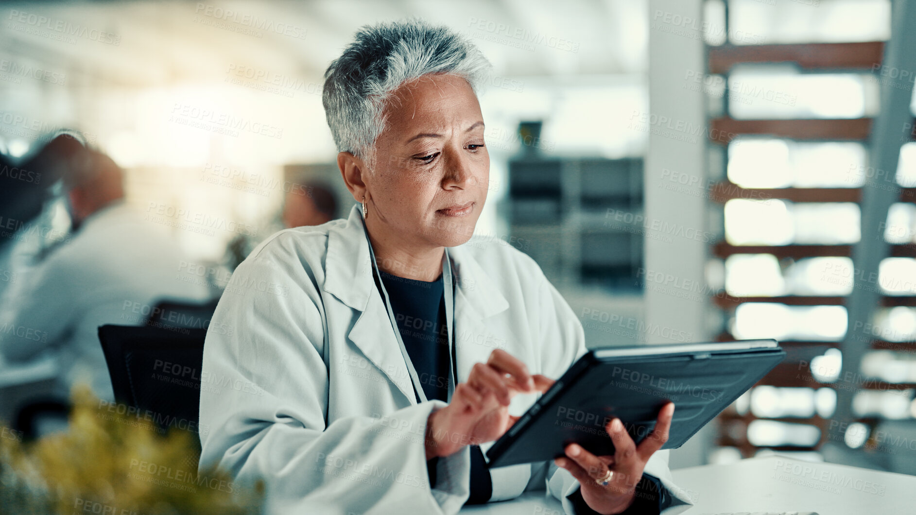 Buy stock photo Science, lab and woman on tablet with plant sample for medical research, vaccine report and medicine. Healthcare, pharmaceutical and scientist on tech for study, medicinal analysis or digital results