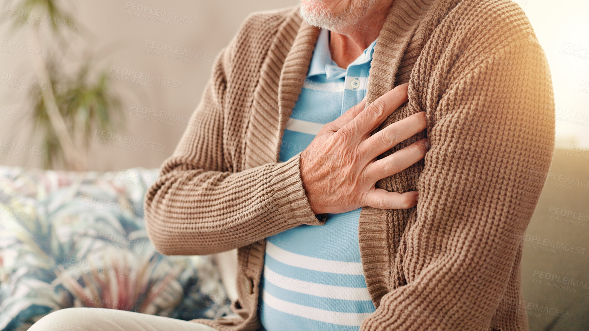 Buy stock photo Elderly man, hands and sofa with chest pain for medical emergency or cardiac arrest at home. Closeup, senior or male person with discomfort or lung disease for heartburn or heart attack at house