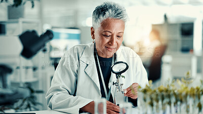 Buy stock photo Magnifying glass, plant and science with person in laboratory for gene function, biology and medical research. Gmo editing, pharmacy innovation and cell regeneration with mature woman for growth