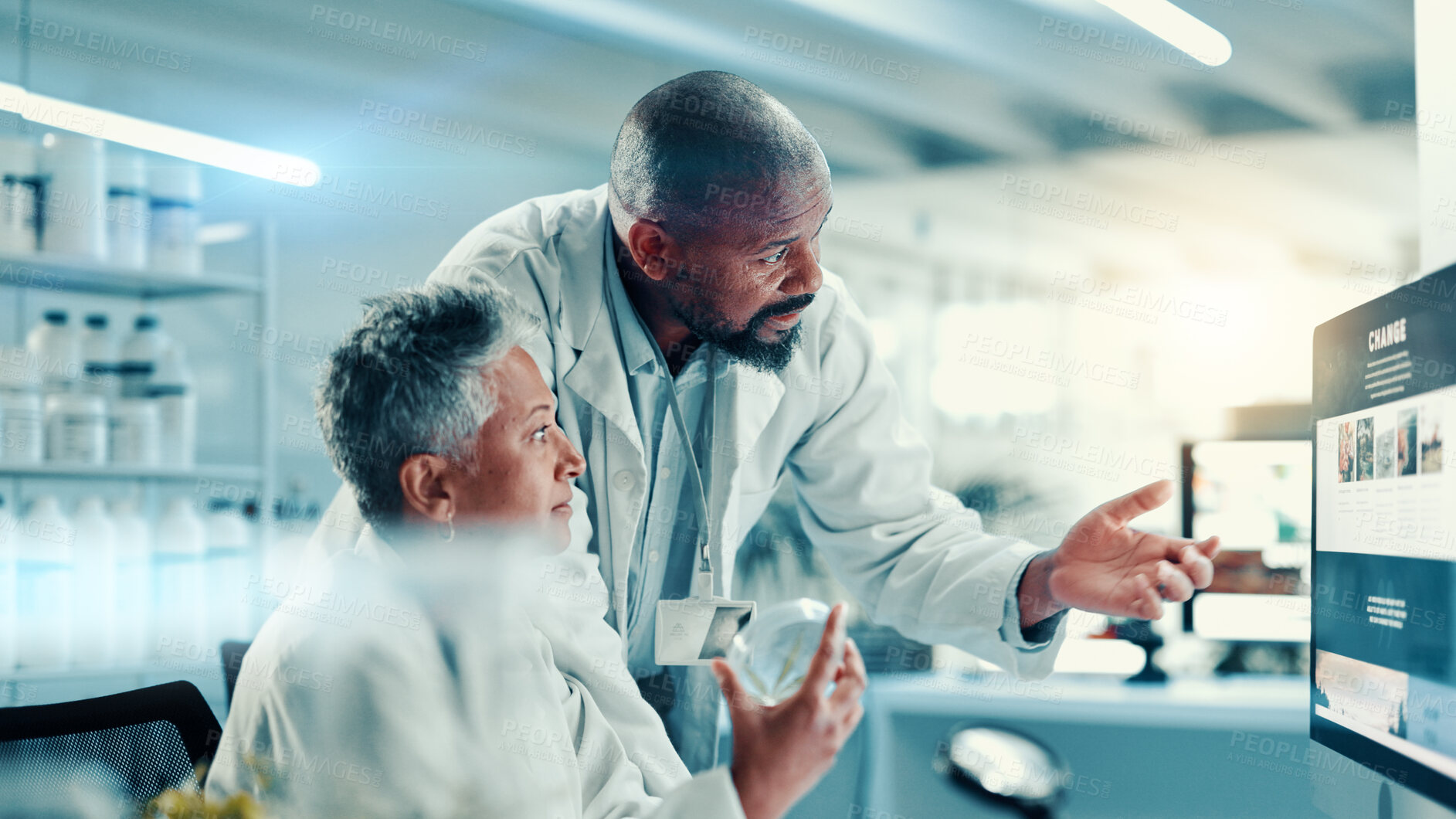 Buy stock photo Computer screen, medical and science with people in laboratory for online development or research. Healthcare, innovation and marijuana with scientist team at desk for biology or breakthrough