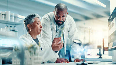 Buy stock photo Biology, collaboration and medical with people in laboratory for online development or research. Conversation, healthcare and plant sample with scientist team at desk for breakthrough or innovation