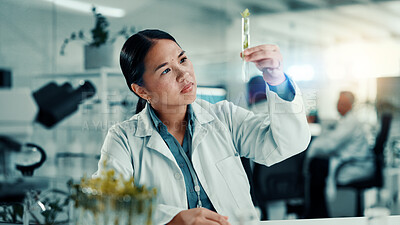 Buy stock photo Test tube, plant and health with woman and research for climate change, biology or medical. Sustainability, science examine and healthcare with scientist in laboratory for growth and analysis