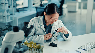 Buy stock photo Magnifying glass, leaf and science with woman in laboratory for gene function, biology and medical research. Gmo editing, pharmacy innovation and cell regeneration with person for growth and study