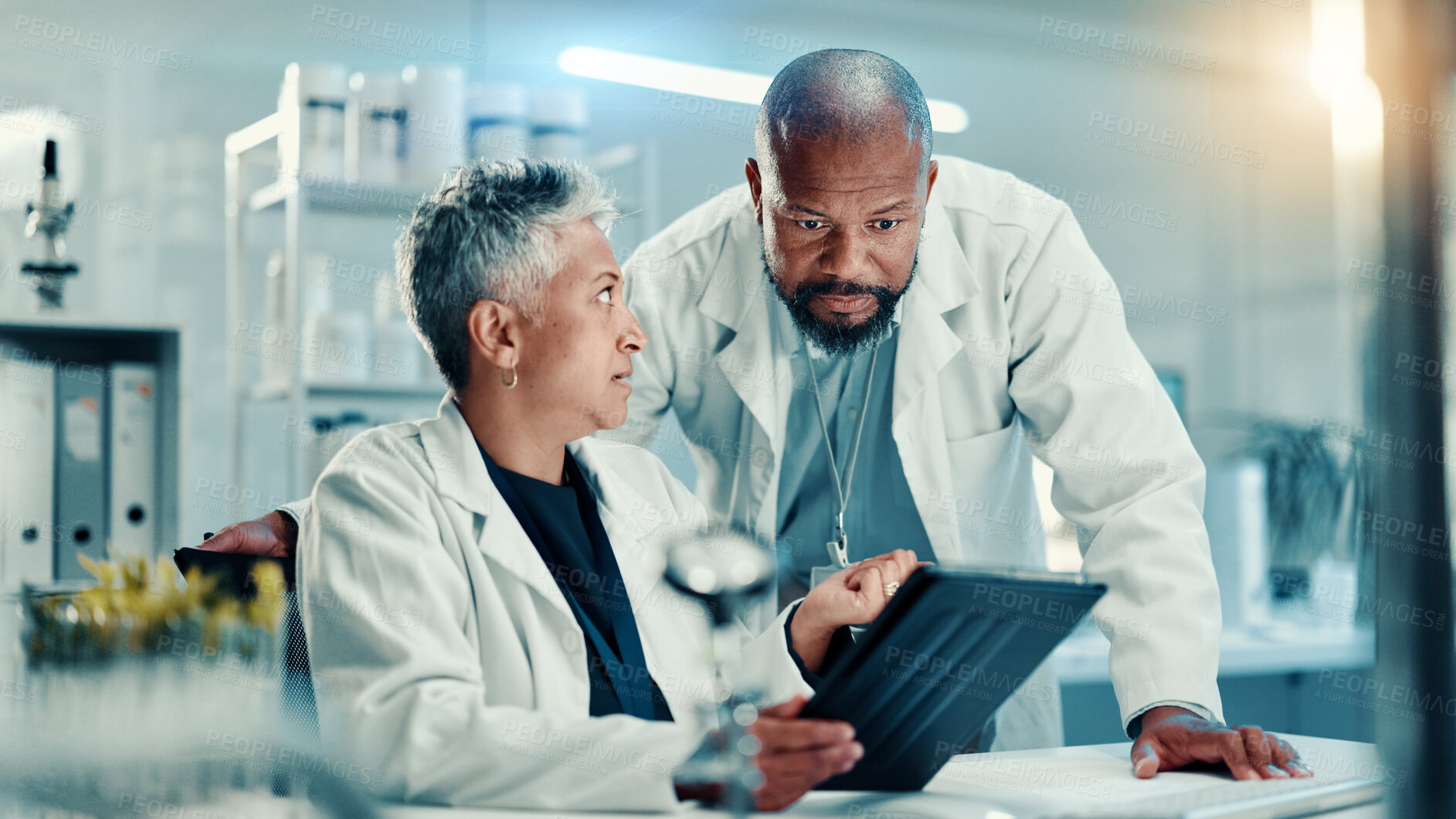 Buy stock photo Science team, tablet or research in laboratory for medical innovation, plant progress or review. Scientist, mature people and discussion with vaccine report for sustainable medicine or biotechnology