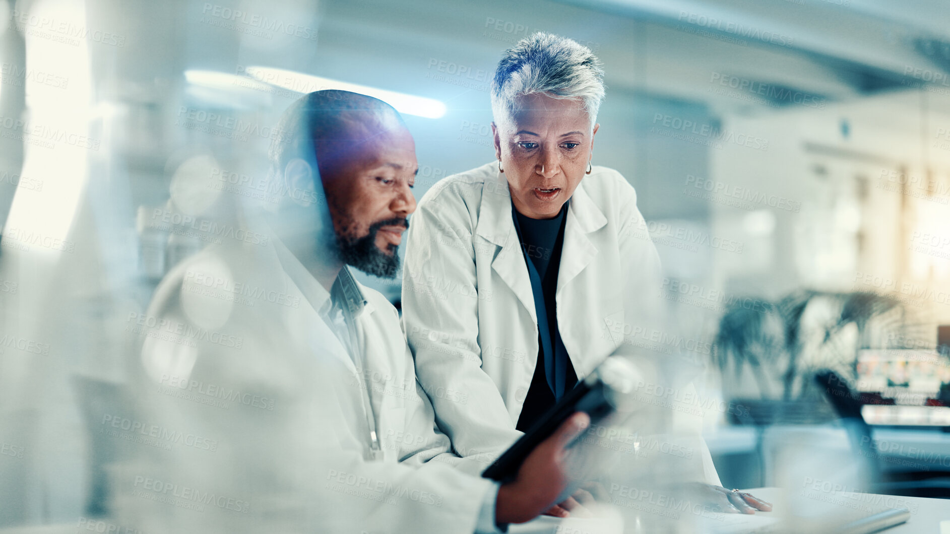 Buy stock photo Discussion, scientists and team with tablet, lab or collaboration for medical research for analysis. Healthcare, science and mature people with tech for biotechnology, breakthrough and communication