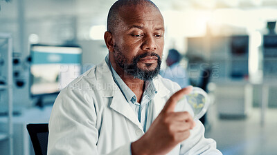 Buy stock photo Petri dish, leaf and study with black man in laboratory for gene function, biology and medical sample. GMO editing, pharmacy innovation and cell regeneration with person for science and research