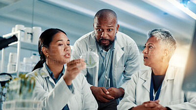 Buy stock photo Weed, petri dish and team with people in laboratory for drug development, medical or cbd research. Cannabis leaf study, marijuana sample and thc therapy with scientist for hemp herb and collaboration