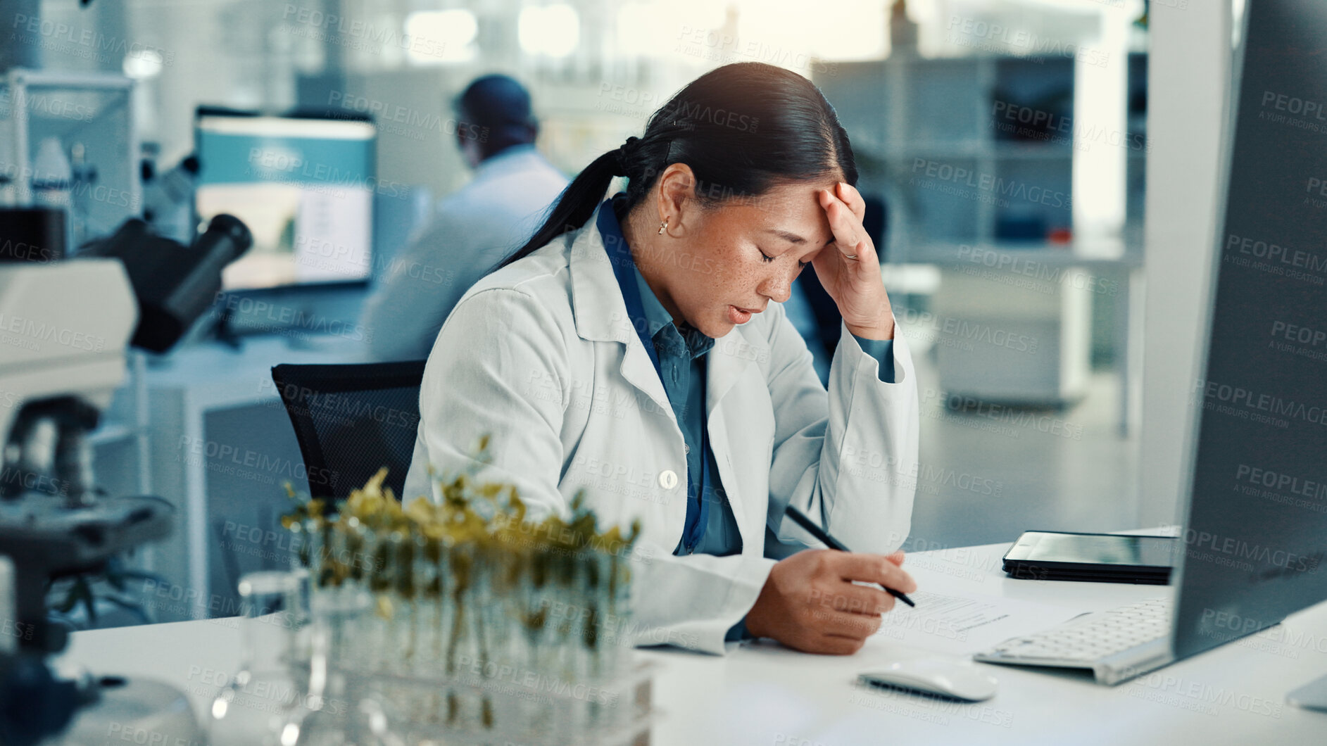 Buy stock photo Computer, science and stress with woman in laboratory for medical development or research. Anxiety, headache and plant sample with biology scientist at desk for breakthrough crisis, fail or mistake